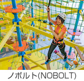 ノボルト(NOBOLT)